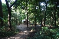 DSC00430