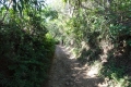 DSC00432