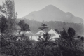 pe1