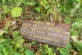 DSCN0213