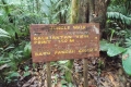 DSCN0224