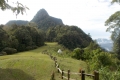 DSCN0241