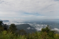 DSCN0250