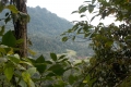 DSCN0268