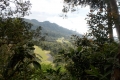 DSCN0272