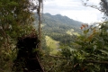 DSCN0280