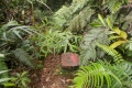 DSCN0291