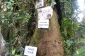 DSCN0310