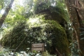 DSCN0330