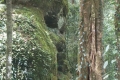 DSCN0335