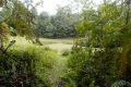 DSCN0339