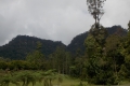 DSCN0344