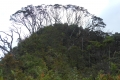 ranau-seminung-pesagi-155