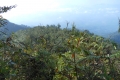 ranau seminung pesagi 168