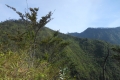 ranau seminung pesagi 169
