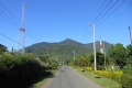 alor-to-flores-594