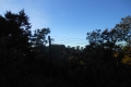 alor-to-flores-523