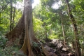 dscn0767