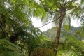 dscn0780