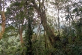 dscn0791