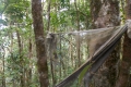 dscn0799