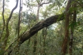 dscn0803