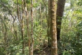 DSCN0808