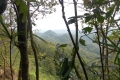 DSCN0815