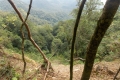 DSCN0820