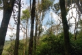 DSCN0837