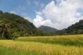 DSCN0857