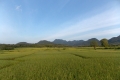 DSCN0874