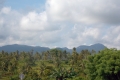 DSCN0891