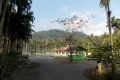 DSCN8533