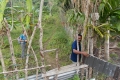 DSCN8535