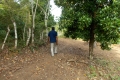 DSCN8545