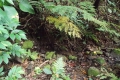 DSCN8558