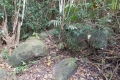 DSCN8564