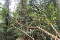 DSCN8576