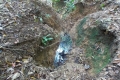 DSCN8577