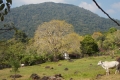 DSCN8582