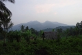 DSC03530
