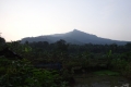 DSC03534