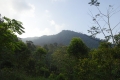 DSC03545
