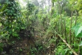 DSC03547