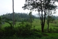 DSC03581