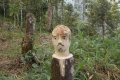 DSCN0006
