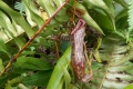 DSCN0018