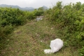 DSCN0045
