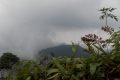 DSCN0057